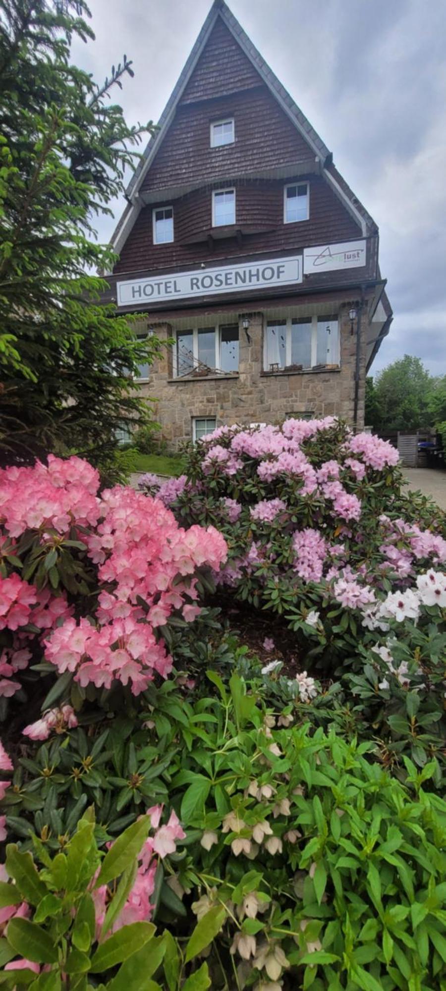 Hotel Rosenhof Braunlage 3* Braunlage
